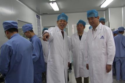 市领导到公司参观