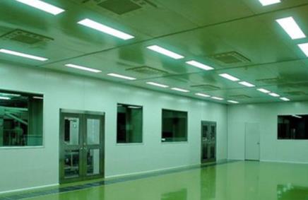 市领导到公司参观