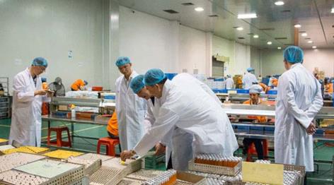 市领导到公司参观