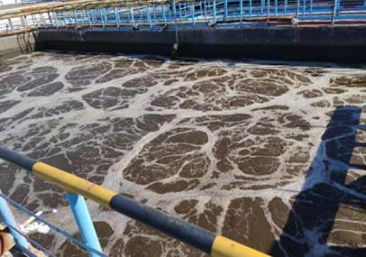 煤化工废水处理